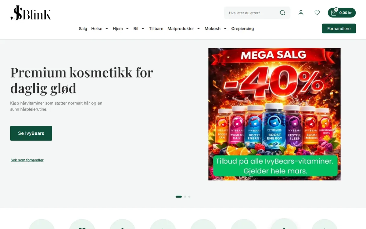Nettsiden til JSBlink
